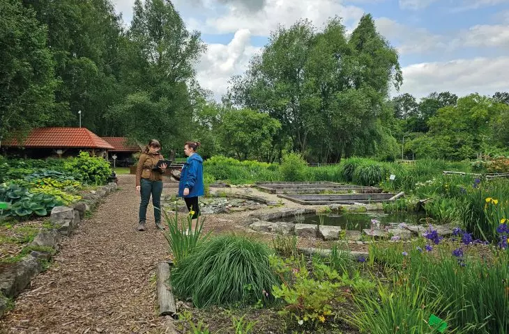 dokumentacja z prac terenowych z ćwiczeń rozbiórki terenów zieleni w Arboretum w Bolestraszycach