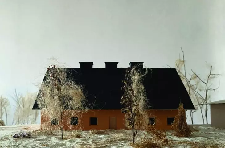 dom mieszkalny, widok z ogrodu