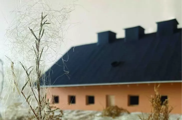 dom mieszkalny, widok z ogrodu