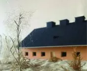 dom mieszkalny, widok z ogrodu
