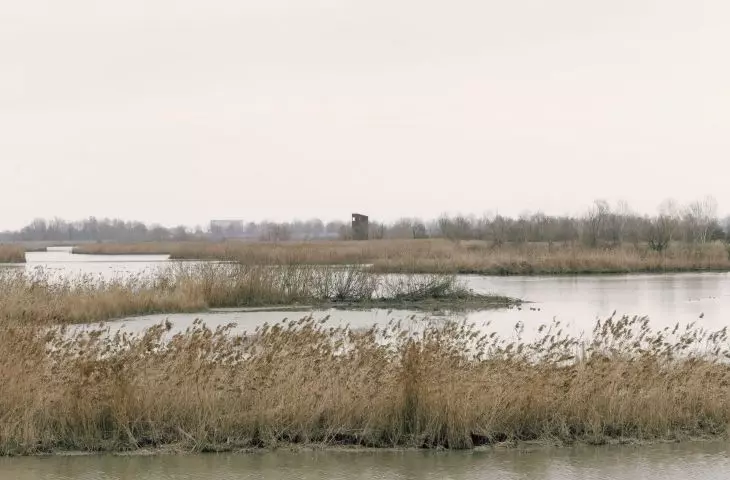 Wieża obserwacyjna w miejscowości Argenta we Włoszech
