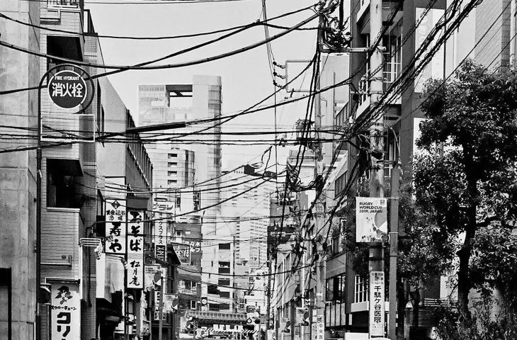 Japonia
