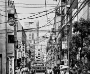 Japonia