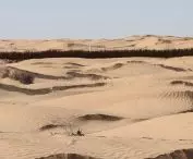 Kraina Studni, gubernatorstwo Kébili, Tunezja