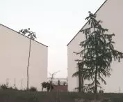 House gap