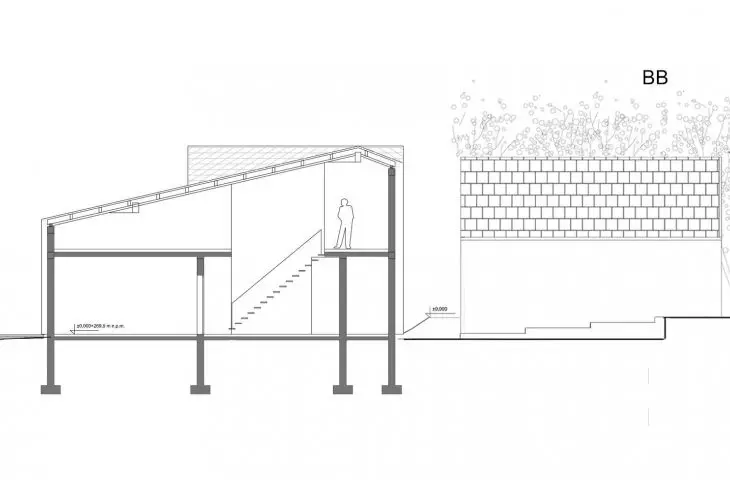 Cross section 