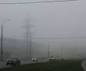 Exhaust gases are the main source of nitrogen dioxide in cities