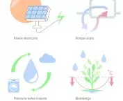 ecological solutions