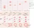 development of typologies