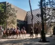 Muzeum Józefa Piłsudskiego w Sulejówku 