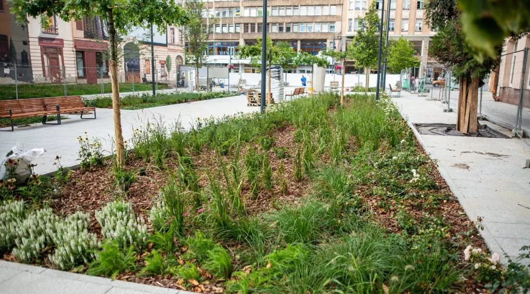 I Nagroda w kategorii Rewitalizowana miejska przestrzeń publiczna