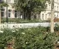 I Nagroda w kategorii Rewitalizowana miejska przestrzeń publiczna