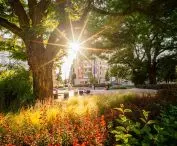 Wyróżnienie w kategorii Rewitalizowana miejska przestrzeń publiczna