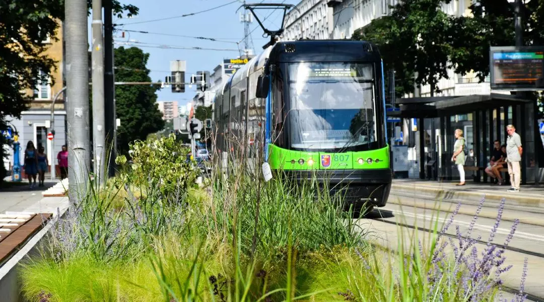 Wyróżnienie w kategorii Rewitalizowana miejska przestrzeń publiczna