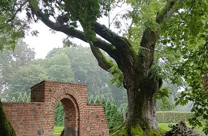Portal ceglany w parku