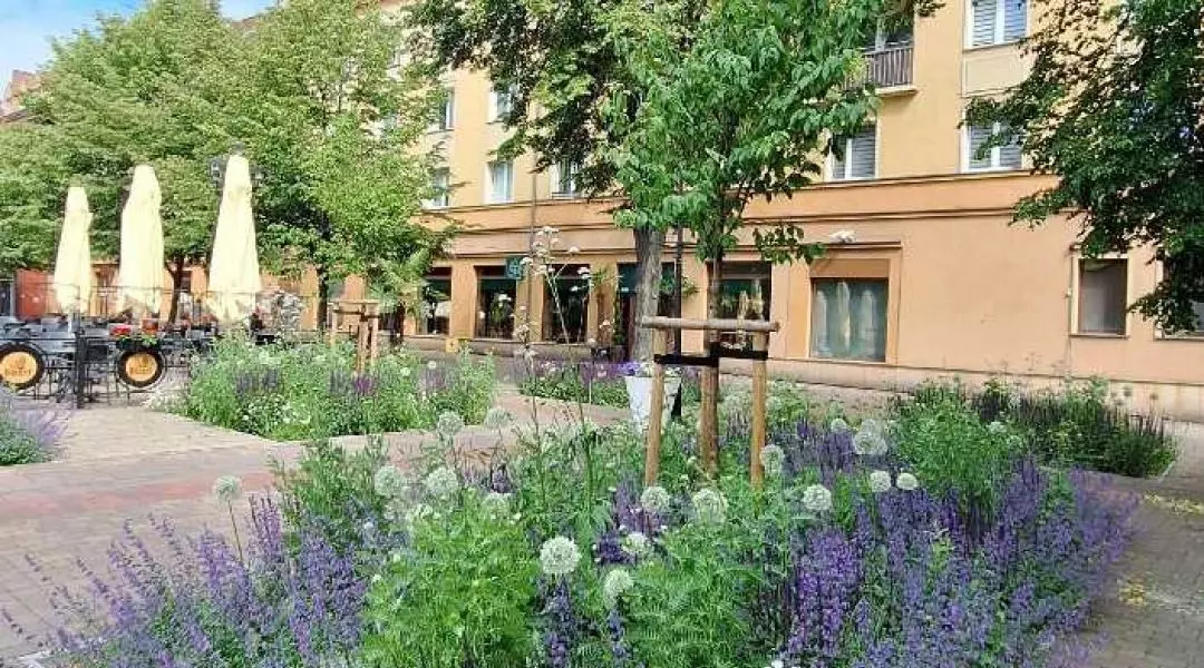 Wyróżnienie w kategorii Rewitalizowana miejska przestrzeń publiczna