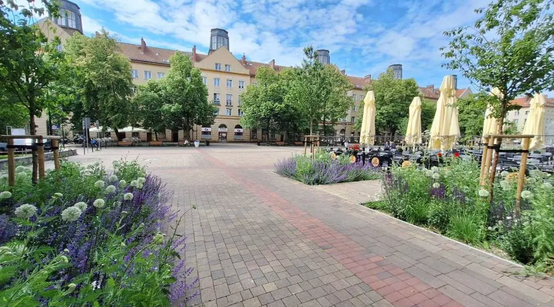 Wyróżnienie w kategorii Rewitalizowana miejska przestrzeń publiczna