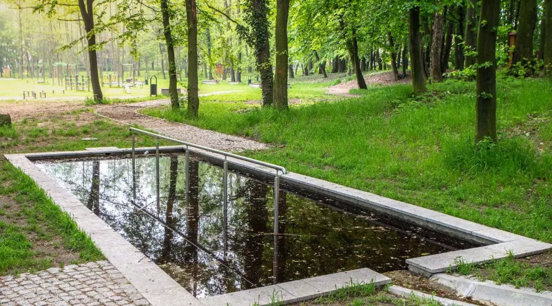 Wyróżnienie w kategorii Rewitalizowana przestrzeń publiczna w zieleni
