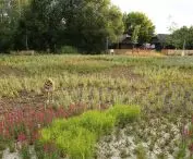 I Nagroda w kategorii Nowo wykreowana przestrzeń publiczna w zieleni