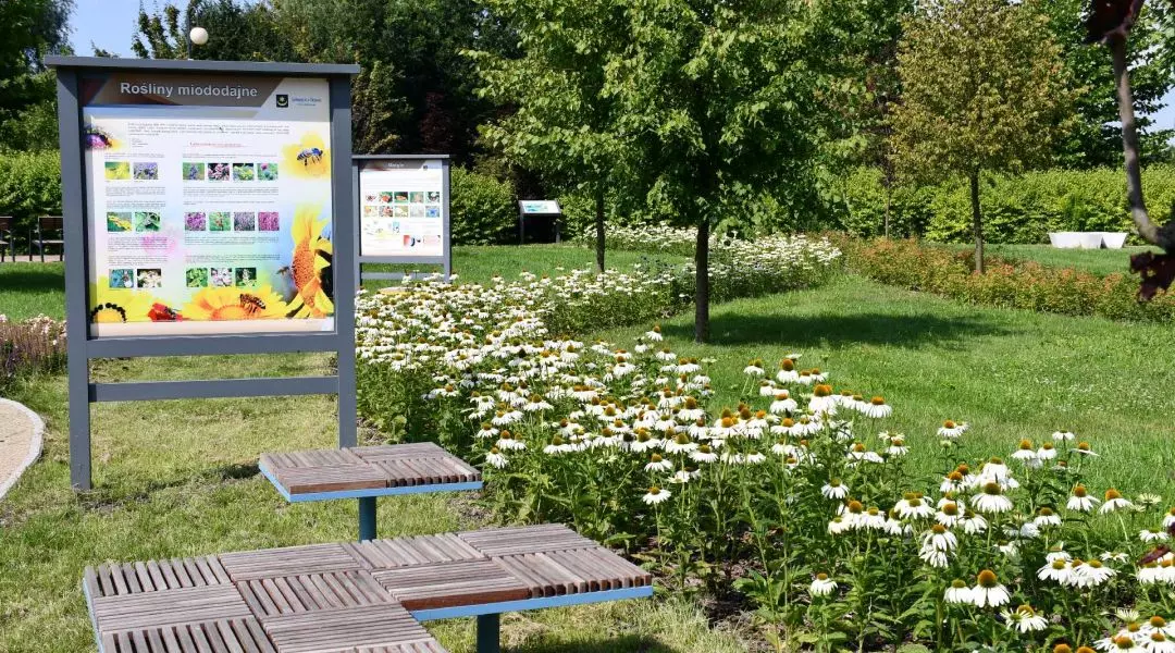 Wyróżnienie w kategorii Nowo wykreowana przestrzeń publiczna w zieleni