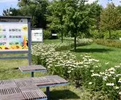 Wyróżnienie w kategorii Nowo wykreowana przestrzeń publiczna w zieleni