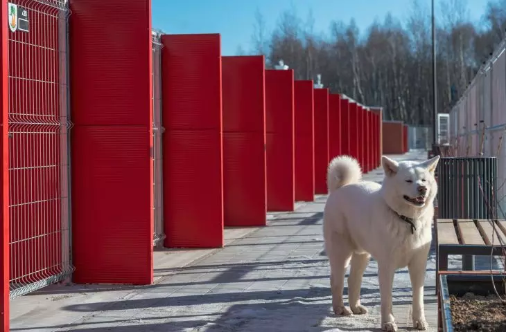 Nowe schronisko w Wałbrzychu