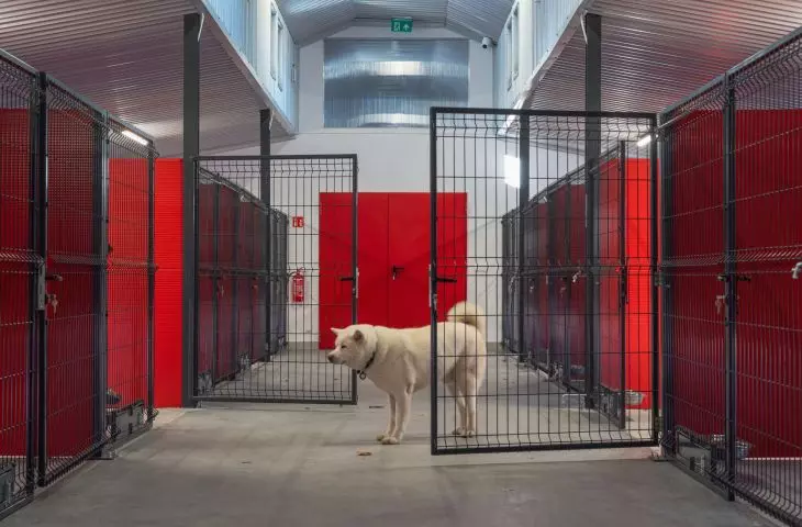 New shelter in Walbrzych