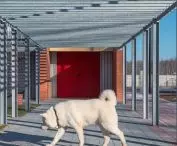 New shelter in Walbrzych