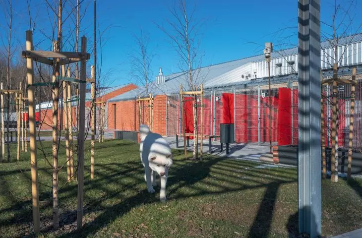 New shelter in Walbrzych
