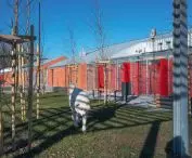 New shelter in Walbrzych