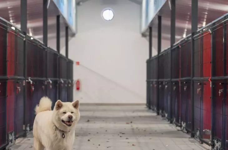 New shelter in Walbrzych