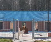 Nowe schronisko w Wałbrzychu