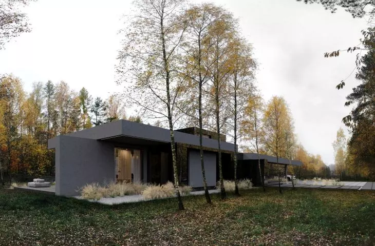 RE: STARK HOUSE in a forest setting