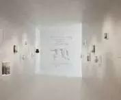 visualization of the interior of the pavilion