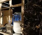 cabinet is filled with samples of water, soil and materials