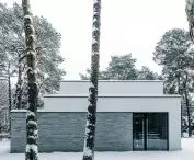 Rezydencja Betonowa Ściana w Konstancinie-Jeziornej