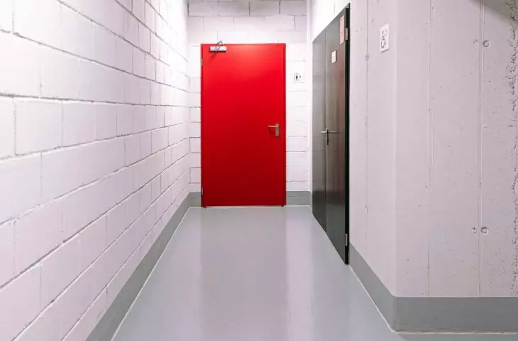 DFM brand steel doors