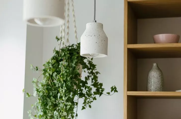 The apartment is full of plants that enliven the interior
