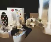 temporary exhibition