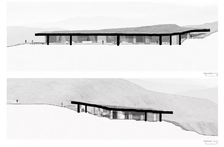 sections