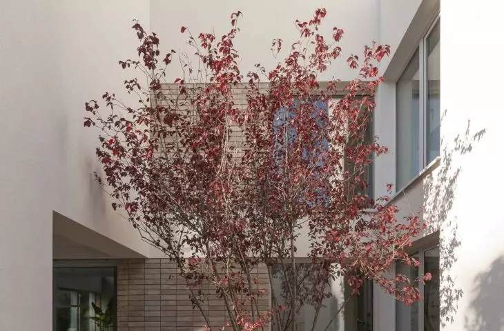 A small courtyard with a centrally planted tree introduces an element of nature and creates a place of relaxation in a private space