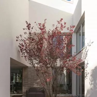 A small courtyard with a centrally planted tree introduces an element of nature and creates a place of relaxation in a private space