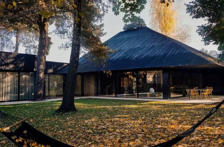Dom między drzewami