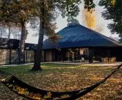 Dom między drzewami