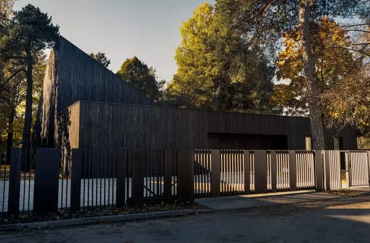 Dom między drzewami