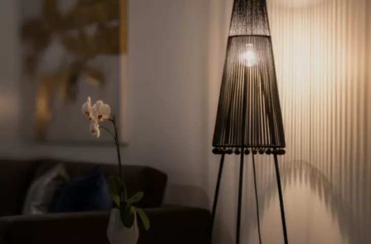 Latii.bleti lamps