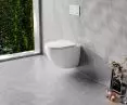 Aspen Ergo toilet bowl