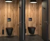 System spłukiwania bezzbiornikowego TEMPOFLUX 3  i WC S21 S ze stali nierdzewnej od DELABIE