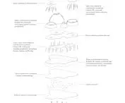 honorable mention, design: Gabriela Golbiak