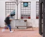 Linfa